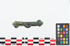 Foto von Bronzescheibenarming (NHMW-PRAE-026107)
